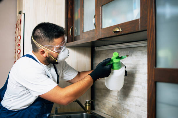 Best Best Pest Control Companies  in Greenvle, IL