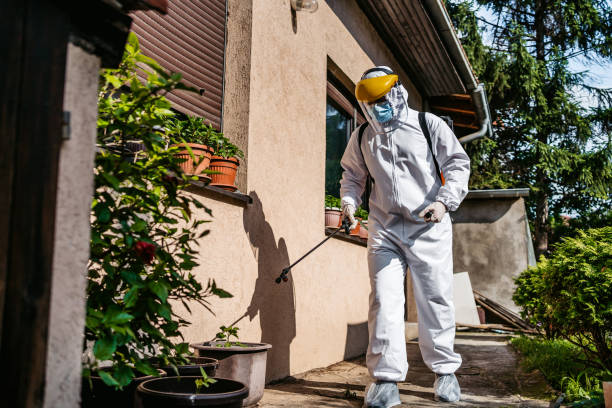 Professional Pest Control in Greenville, IL