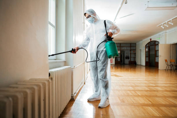 Best Best Pest Control Companies  in Greenvle, IL