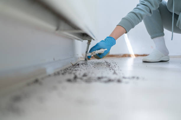 Best Pest Control Treatment  in Greenvle, IL